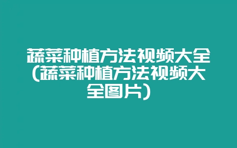 蔬菜种植方法视频大全(蔬菜种植方法视频大全图片)-会东网