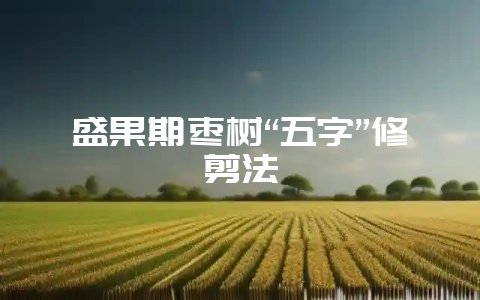 盛果期枣树“五字”修剪法-会东网