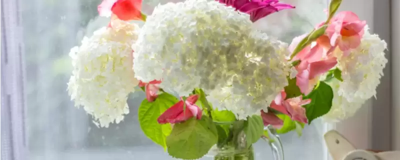 鲜花怎么养时间比较久-会东网