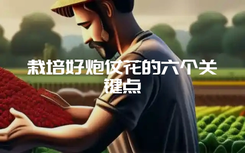 栽培好炮仗花的六个关键点-会东网