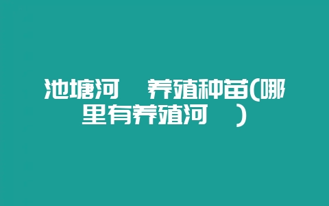 池塘河蚬养殖种苗(哪里有养殖河蚬)-会东网