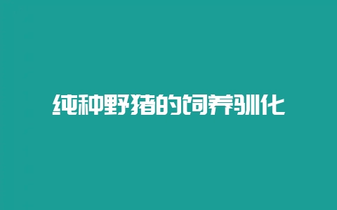 纯种野猪的饲养驯化-会东网