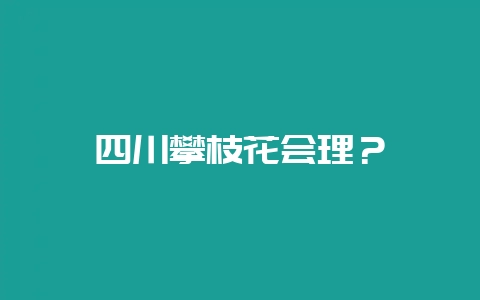 四川攀枝花会理？-会东网