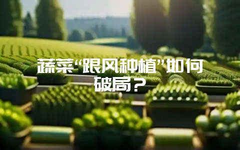 蔬菜“跟风种植”如何破局？-会东网