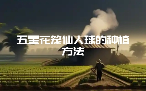 五星花笼仙人球的种植方法-会东网