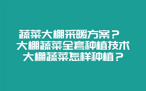 蔬菜大棚采暖方案? 大棚蔬菜全套种植技术大棚蔬菜怎样种植?-会东网