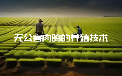 无公害肉鸽的养殖技术-会东网
