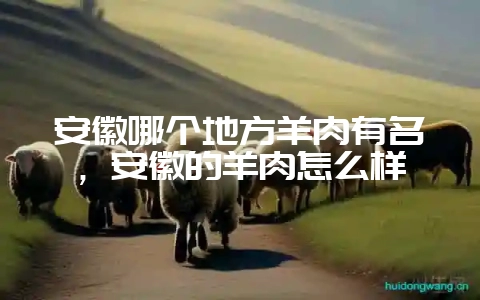 安徽哪个地方羊肉有名，安徽的羊肉怎么样-会东网