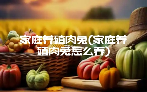 家庭养殖肉兔(家庭养殖肉兔怎么养)-会东网