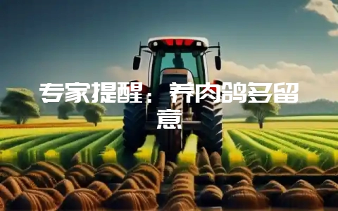 专家提醒：养肉鸽多留意-会东网