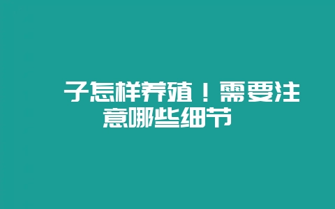 貉子怎样养殖！需要注意哪些细节-会东网