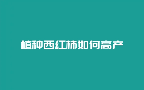 植种西红柿如何高产-会东网