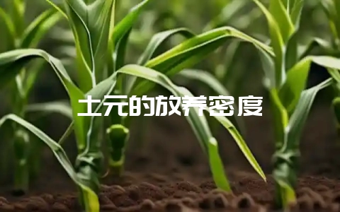 土元的放养密度-会东网