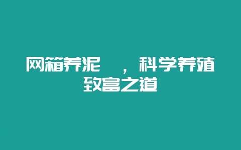 网箱养泥鳅,科学养殖致富之道-会东网
