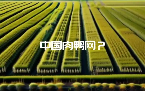 中国肉鸭网？-会东网