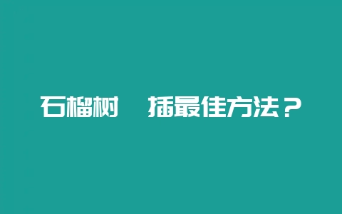 石榴树扦插最佳方法？-会东网