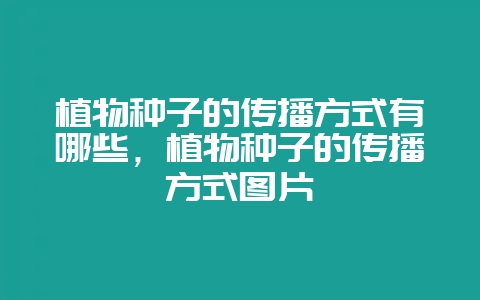植物种子的传播方式有哪些，植物种子的传播方式图片-会东网