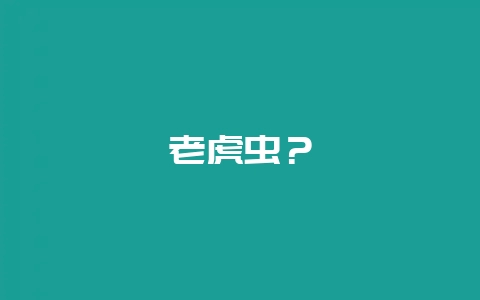 老虎虫？-会东网