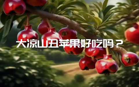 大凉山丑苹果好吃吗？-会东网