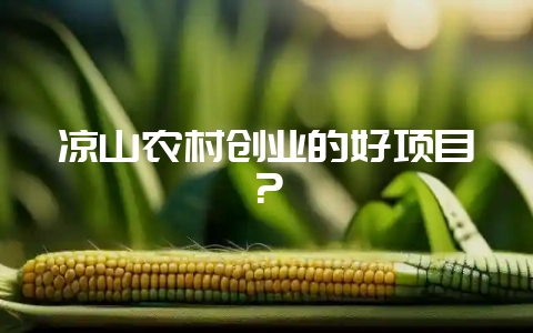 凉山农村创业的好项目？-会东网