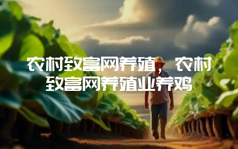 农村致富网养殖，农村致富网养殖业养鸡-会东网