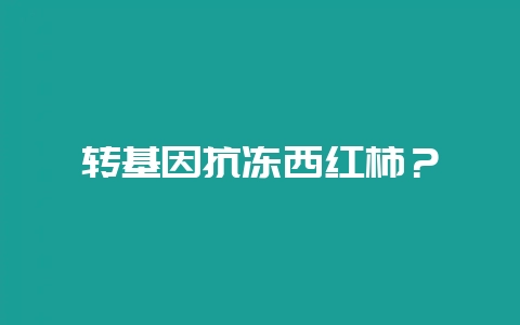 转基因抗冻西红柿？-会东网