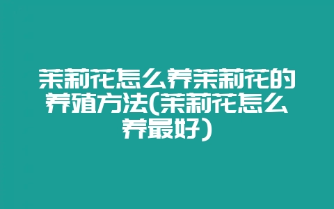 茉莉花怎么养茉莉花的养殖方法(茉莉花怎么养最好)-会东网