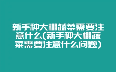 新手种大棚蔬菜需要注意什么(新手种大棚蔬菜需要注意什么问题)-会东网
