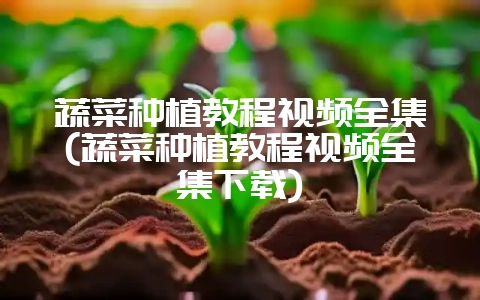 蔬菜种植教程视频全集(蔬菜种植教程视频全集下载)-会东网