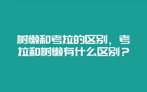 树懒和考拉的区别，考拉和树懒有什么区别？-会东网