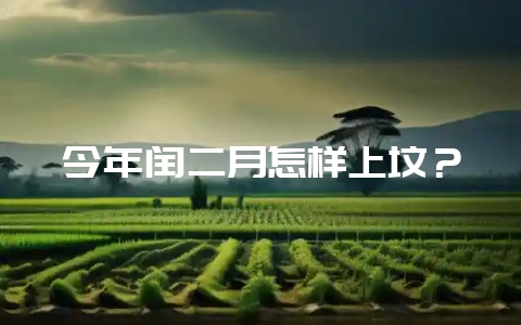 今年闰二月怎样上坟？-会东网