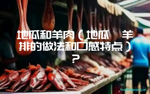 地瓜和羊肉（地瓜炖羊排的做法和口感特点）？-会东网