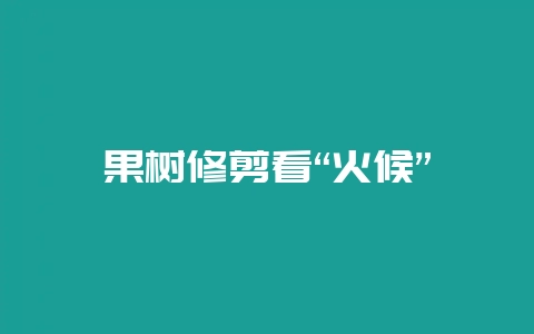 果树修剪看“火候”-会东网