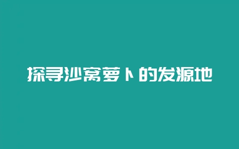 探寻沙窝萝卜的发源地-会东网