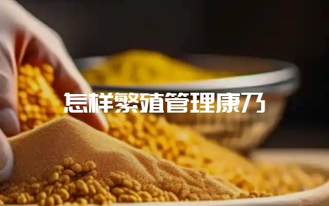 怎样繁殖管理康乃馨-会东网