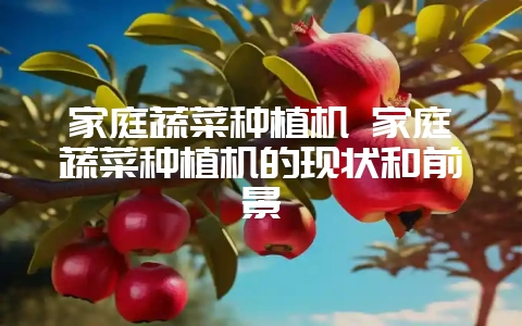 家庭蔬菜种植机 家庭蔬菜种植机的现状和前景-会东网
