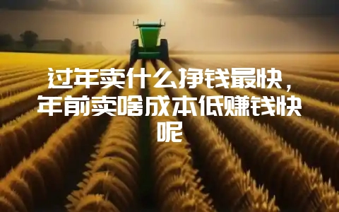 过年卖什么挣钱最快,年前卖啥成本低赚钱快呢-会东网