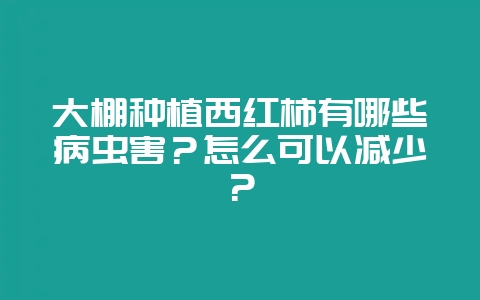 大棚种植西红柿有哪些病虫害?怎么可以减少?-会东网