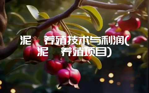 泥鳅养殖技术与利润(泥鳅养殖项目)-会东网