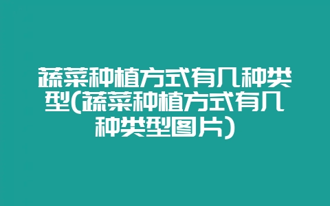 蔬菜种植方式有几种类型(蔬菜种植方式有几种类型图片)-会东网