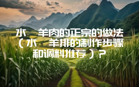 水汆羊肉的正宗的做法（水汆羊排的制作步骤和调料推荐）？-会东网