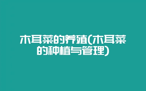 木耳菜的养殖(木耳菜的种植与管理)-会东网
