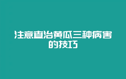 注意查治黄瓜三种病害的技巧-会东网