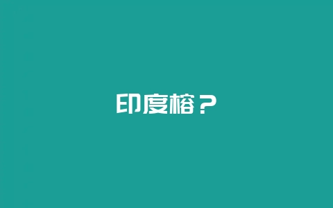 印度榕？-会东网