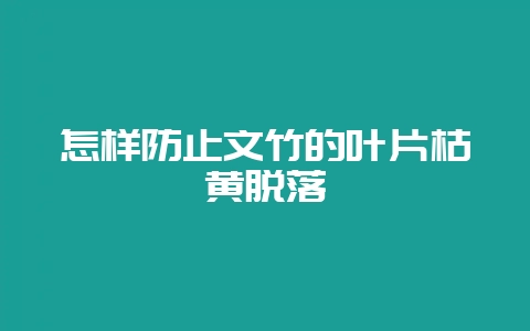 怎样防止文竹的叶片枯黄脱落-会东网