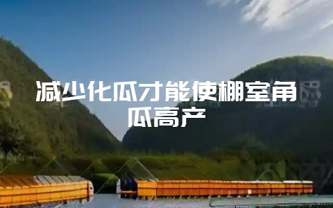 减少化瓜才能使棚室角瓜高产-会东网