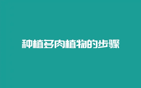 种植多肉植物的步骤-会东网