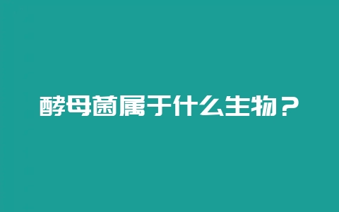酵母菌属于什么生物？-会东网