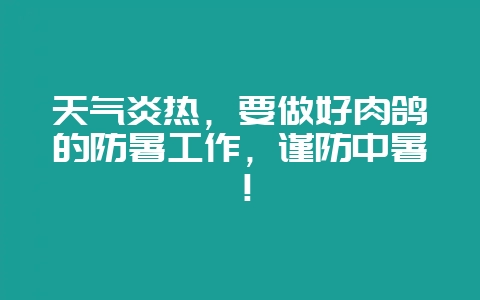天气炎热,要做好肉鸽的防暑工作,谨防中暑!-会东网
