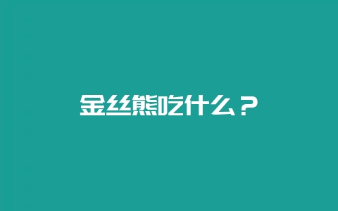 金丝熊吃什么？-会东网
